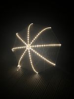 Iluminated Light Up Umbrella/Wedding Umbrella/Festival Umbrella/Fashion Umbrella