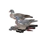 FUD F.U.D Fold Up Decoy Pigeon 6pk  REVOLUTIONARY FOLD UP BIRD DECOY: At FUD, w