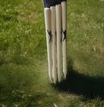 Cricket Stumps