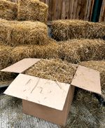 Natural Wheat Straw Perfect for Small Animal Bedding & Nesting - Rabbits Guineas