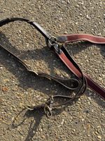 Full Size Brown Leather Burgundy Elastic Running Martingale Breast Plate