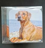 Cup & Coaster Set With Print Of A Rhodesian Ridgeback Dog Sitting On A Beach