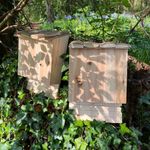 Large Wooden Bat Nesting Roosting Box Wildlife Habitat Shelter (Set of 2)