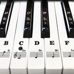 Large Bold Piano Key Sticker for Beginners - Removable letter label for 88/61/54