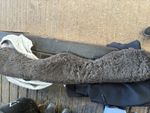 Mattes Short Girth - Crescent with detachable cover. Bought In May. Brown 80cm