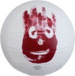 Wilson Castaway Volleyball