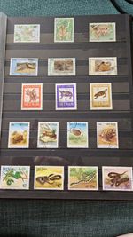 150 Reptile & Amphibian Used Postage Stamps Worldwide Various All Different