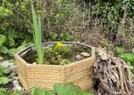 Small Raised Garden Pond Aquatic Planter Wildlife Pond 61x61x27h cm Ready To Use