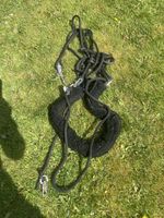 Pessoa Style Lunging Aid