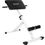 Weights Bench Workout Exercise Hyperextension Back Extension Fitness Station