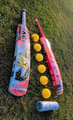 JD Sports Cricket Set Bundle 2 Bats with 6 Tennis Balls & Can