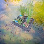 Pond Floating Island Marginal Basket Holder for 1L 11cm Baskets