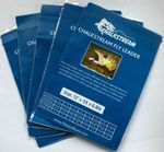 5 x packs "Chalkstream" Tapered flyline leader all length 9',12',15' all sizes