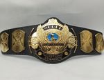 winged eagle dual heavyweight championship belt wrestling title 6mm diecasted