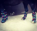 Set Of 4 Fleece Leg Wraps / Stable Boots / Stable Wraps / Miniature to Full Size