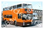 Bus Photograph GREATER MANCHESTER PTE ANA 558Y [8558]