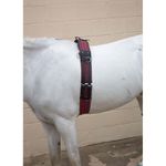 Hy Equestrian Training Roller - Blue/Red | Equestrian Equipment