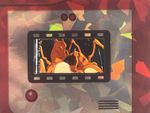 FSA Pokemon Mounted Authentic Animation Film Cell Collectible Card Charizard