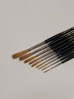 Complete Signwriting Brush Starter Set