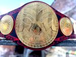 Customized Tag Team Championship Wrestling Customized Replica Belt 2 Layer Brand