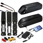 36V 48V 10AH 13AH 15AH Li-lon Battery for 1000W 750W 500W Ebike Electric Bicycle