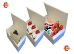 White Rectangular Boxes -  Disposable Cake Pastries Food Sandwich Take Away Box 