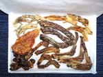 Natural Dog Treat Selection Box Chicken Duck Turkey Chew Treats (Large Letterbox