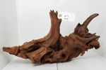 Driftwood #15 - Aquascaping, Terrarium, Vivarium, Ornamental Decor