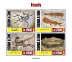 FOSSILS Prehistoric Animals Fossil MNH 4v-Stamp Sheet #30 (2020 Sierra Leone)
