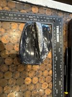 AWESOME ORTHOCERAS SOAP DISH , MOROCCO FY6#8