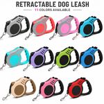 3M/5M Retractable Dog Leash Automatic Pet Lead Nylon Walking Lead Small Dogs