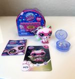 Littlest Pet Shop LPS Raccoon Figure #479 with Accessories and Packaging