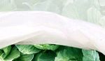 2m wide - 50gsm THICK Frost Fleece Plant Protection Garden Cover Horticultural