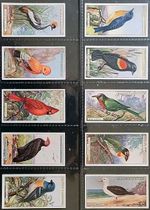 Ogden's Cigarette Cards..."FOREIGN BIRDS"...Complete Set of 50...Issued In 1924