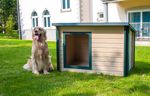 Plastic dog kennel, cabin twin walled insulated