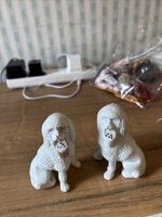 Pair Of Dogs