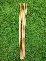 Rattan Cane Sticks 3pcs - Flexible/ Natural/ 0.6-0.8 cm diameter/ 40" length