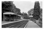 bb0202 - Baynards Railway Station , Surrey in 1961 - print 6x4