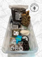 Isopod, millepede Invert Starter Kit Box 5.OL  Shallow Enclosure, Complete set..