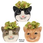 6 Types Moggy Pots, Planters Flower Pot, Cat Face Vase, Grey, Ginger, Tuxedo Cat