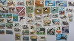 Ducks Stamps Collection - 25 & 50 Different Stamps 
