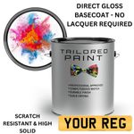 1K DIRECT GLOSS Mixed By Reg Registration RFU Basecoat CAR Paint Ready For Use