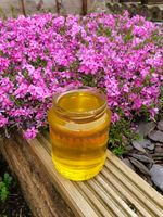 Raw Acacia Honey 2025 Harvest Unfiltered Pure Honey from Beekeeper