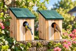 2X WOODEN WOOD NESTING NEST BOXES BIRD HOUSE SMALL BIRDS BLUE TIT ROBIN