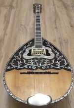 4 string greek bouzouki & hardcase & pickup & 300 backing track with pdf scores