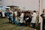 Lincoln red Cattle Yorkshire Show in 1970's original 35 mm Slide 