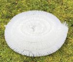 4m White Gutter Brush Leaf & Moss Guard - Gutter Protection