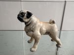 Basil Matthews Pug Dog