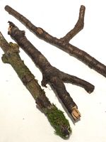 Rainforest branches, Pods, Moss & More Vivarium terrarium Decoration Accessories