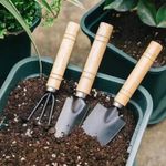 Mini Garden Tool Set – Rake, Trowel & Shovel for Succulents
